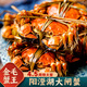 【活蟹】陽(yáng)澄逍遙 陽(yáng)澄湖大閘蟹鮮活螃蟹禮盒公4.5兩母3.0兩4對8只河蟹生鮮中秋禮盒
