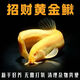 黃金泥鰍冷水觀賞魚招財(cái)金龍鰍小金魚苗觀賞魚批發(fā)魚缸清潔工具魚好養(yǎng)耐活魚 黃金泥鰍11-14厘米10條送2條防損