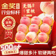 春公子江蘇特產(chǎn)無(wú)錫水蜜桃【JD送貨上門(mén)】軟桃硬桃子中秋水果禮盒送禮 一級果4-5兩12個(gè)凈重5斤多 頭茬鮮果  軟硬兩吃