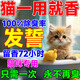 貓咪沐浴露除臭留香抑菌止癢蓬松柔順亮毛去味持久貓用沐浴 貓貓沐浴露一瓶