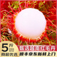 優(yōu)味集【順豐/JD速發(fā)】進口紅毛丹越南新鮮水果毛荔枝甜紅牡丹整箱送禮 1050g凈重裝（顆顆精選） 商超級金果