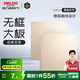 德力西（DELIXI） 開關(guān)插座面板CD821系列香檳金色暗裝插座二三插墻壁電源無框大板 空白面板