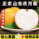 果益壽山東秋月梨【商超精品】當(dāng)季新鮮脆甜冰糖梨子水果中秋送禮 5斤丨超值裝 單果250g+凈重4.5斤