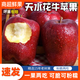 閩域尋鮮新鮮天水花牛蘋(píng)果現摘粉面蘋(píng)果整箱包郵蛇果圣誕蘋(píng)果花牛蘋(píng)果 凈重4.5斤丨單果60-70mm丨精選裝 【果農手工精選老樹(shù)果】