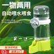 智宙 鸚鵡自動(dòng)喂食器鳥用飲水器蘆丁雞專用喝水器虎皮小雞玄風(fēng)八哥碗 兩個(gè)裝【喂食＋喂水】 綠色【兩個(gè)裝】