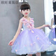 FANCYCHIC女童禮服公主裙森系可愛(ài)蓬蓬紗兒童生日主持人小女孩鋼琴演出服夏 紫花環(huán) 100