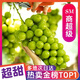 SVIP云南陽光玫瑰葡萄新鮮水果禮盒【京東配送】 凈果4.5-5斤丨12-15g丨SVIP精選 順豐/京東包郵丨甄選2-3串