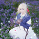 卡賓歐薇爾莉特cos服紫羅蘭的永恒花園艾弗戈登動漫周邊cosplayC服配飾 假發(fā)(含發(fā)網(wǎng)) M
