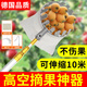 京悠雨德國高空摘枇杷荔枝水果神器摘楊梅伸縮桿10米網(wǎng)兜采摘器芒果櫻桃 【德國碳素鋼桿】10米 套裝(送刀+鉤)