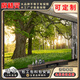 席精靈定制自然風(fēng)景綠色森林墻紙客廳電視背景墻沙發(fā)影視大樹(shù)背景墻壁布 膚感絲絨布