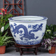 君閔景德鎮青花陶瓷古法養魚(yú)缸碗蓮睡蓮荷花戶(hù)外養龜缸庭院落地大水缸 平口龍躍鴻矯單(單缸) 40x40x25cm小號缸直徑40cm高度2