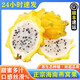 京蚨鮮海南燕窩果麒麟果黃色火龍果新鮮水果禮盒中秋節(jié)禮盒 2斤禮盒【單果2-3兩】