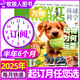 【2025年1-8月】萬(wàn)物雜志全年/半年訂閱 8-15歲青少年版送音頻環(huán)球科學(xué)How it works中文版科普百科中小學(xué)生閱讀2024過刊K 下半年訂閱【25年7-12月】共6本