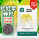 北蔬 娃娃菜種子苗山東秋季種高山黃金小白菜蔬菜種籽 娃娃菜種子10g