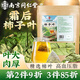 南同四海南京同仁堂柿子葉茶高作脂用茶霜三降效降后壓野外功生血茶400g