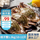 至鮮 梭子蟹2.6斤/10-11只整只液氮無包冰新鮮大螃蟹2-3兩/只呂四黃海海蟹冷凍