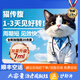 44I1貓腹傳針劑大肚子腹水口炎貓咪口服片41I1貓傳腹油劑水劑正品 【4公斤口服片】10粒/盒