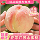 京地達江蘇桃子水蜜桃 凈重9.8斤單果250g桃子水蜜桃當季源頭直發(fā)包郵