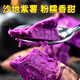 魯韻憶鄉(xiāng)新鮮現(xiàn)挖沙地紫薯 紫羅蘭現(xiàn)挖新鮮紅色紫薯地瓜 粉糯香甜蔬菜 紫薯凈重5斤 大果（單果100g+）