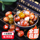 茨格曼魚(yú)缸底砂 魚(yú)缸造景石 雨花石 鵝卵石 夜光石溪流石 五彩石白石子 魚(yú)缸造景-七彩雨花石1斤裝