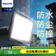 飛利浦（PHILIPS） LED投光燈投射燈工地照明燈路燈泛光防水投射防撞燈露營營地IP65 20W6500K白光