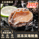 優(yōu)到鮮活凍鮑魚 深海海鮮活凍大鮑魚 生鮮貝類 水產(chǎn)海鮮火鍋燒烤食材 220g 凈重【12頭規(guī)格】1袋（8只/袋）