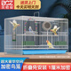 貝初眾鳥(niǎo)籠鸚鵡籠鴿子籠雞籠家用小型鳥(niǎo)站桿鳥(niǎo)籠中大型號鳥(niǎo)窩籠子別墅 白色中號40*30*30(送食盒站桿) 超大寵物別墅精致生活 折疊免安裝方便收納 多功能設計滿(mǎn)足你的需求