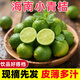 黃六爺海南小青桔小青檸檬青柑金桔應(yīng)當(dāng)季新鮮皮薄水果檸檬5斤金橘旗艦 250g 【一級(jí)好果中小果】清爽多汁
