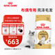 皇家貓糧 布偶成貓糧 RA32 通用糧 12月以上 10KG
