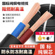 RVV銅芯線(xiàn)電線(xiàn)纜國標2/3芯1/1.5/2.5/4/6/10平方空調護套電源軟線(xiàn) 純銅【3芯 2.5平方】送4件套 10米（足米）
