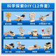 IGNB科學(xué)小實(shí)驗套裝小學(xué)生專(zhuān)用觀(guān)察教具物理發(fā)明制作手工diy兒童玩具3 【十二件套】DIY物理精選實(shí)驗