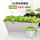 花沃里花盆大號帶托盤陽臺種菜盆種菜箱種子育苗盤種植箱長方形塑料花盆