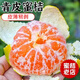 京源采云南早熟蜜桔橘子當(dāng)季新鮮整箱10斤桔子青皮孕婦水果薄皮無籽柑橘 帶箱9斤 凈重8.5斤 大大果（65-70mm）