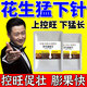 花生分杈下針多花生高產(chǎn)用開(kāi)花多下針多粒粒飽抗病增產(chǎn)花生下針多 花生增產(chǎn)王【粒粒飽滿(mǎn)】5袋