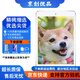 Apple蘋(píng)果 iPad Air1/Air2/Air3 迷你mini2/4/5 二手平板電腦ipad iPad Air1 128G WiFi版 95成新
