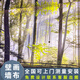 華匠天工森林風(fēng)景假窗戶(hù)墻紙酒館咖啡奶茶燒烤店仿發(fā)光網(wǎng)紅露營(yíng)風(fēng)墻紙壁畫(huà) 膚感絲絨布