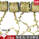 東之天地 森系手工diy麻繩材料樹葉藤條帶葉子繩子幼兒園編織手工裝飾綁繩 綠色麻繩【10米長(zhǎng)1卷】