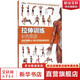 【3冊】肌肉力量訓練圖譜+拉伸訓練彩色圖譜+無(wú)器械力量訓練彩色圖譜 運動(dòng)健身健美訓練書(shū)籍  新華書(shū)店正版包郵 拉伸訓練彩色圖譜
