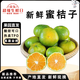 閩域?qū)r云南青皮蜜桔當(dāng)季青皮橘子酸甜橘子青桔子新鮮應(yīng)季云南水果蜜桔子 凈重4.5斤【單果45-49mm】 橘子愛好者