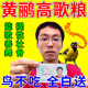 黃鸝鳥(niǎo)飼料提高智商上色開(kāi)口順羽壯骨增膘養(yǎng)護(hù)腸胃抗病專(zhuān)用營(yíng)養(yǎng)糧 500g 1袋 【開(kāi)嗓高歌】