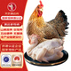 天農(nóng) 清遠(yuǎn)雞老母雞1.8斤 山林散養(yǎng)365天土雞走地雞 冷凍 月子雞湯食材