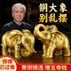 明恩大象擺件一對全銅大象擺件招風(fēng)水象財銅制大象吸水象黃銅客廳家居 5號財福象一對（贈五帝錢）