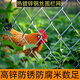 熱鍍鋅勾花網(wǎng)鐵絲網(wǎng)養(yǎng)雞防護網(wǎng)圍欄批發(fā)鐵網(wǎng)格鋼絲網(wǎng)戶外養(yǎng)殖隔離 熱鍍鋅勾花網(wǎng) 1.2米高*5米長  (2.0厚8厘米孔)