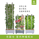 農(nóng)副倉(cāng)室內(nèi)種植機(jī) 種植墻 智能種菜 家庭種菜 養(yǎng)花 無土栽培 有機(jī)種植 旗艦款