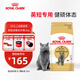 皇家貓糧 英短成貓糧 BS34 通用糧 12月以上 2KG