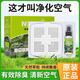 凈味魔盒碳膏魔晶汽車(chē)香膏除甲醛新車(chē)內除臭除異味空氣清新劑 檸檬香型一盒 500g 1盒 帶清新噴劑