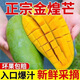 果迎鮮 廣西金煌芒 芒果 青皮芒果 新鮮水果 生鮮 青芒果 凈果4.5斤