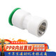 鋼予工品 PPR免熱熔內絲直接 直插式快接內絲接頭 自來(lái)水管快接配件 內絲直接20*1/2 6個(gè)價(jià)