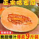 正宗海南哈密瓜5/9斤當(dāng)季新鮮新疆瓜水果甜整箱現(xiàn)摘網(wǎng)紋瓜西州蜜9 9斤整箱