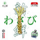 本山葵單支裝甄選現(xiàn)磨山葵根新鮮青芥末 用于日料韓料烤肉壽司魚生烤肉 新鮮山葵L級單支 56-69g/支